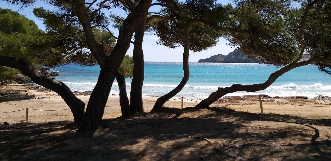 Punta Ses Planes Villa Son Servera   Son Servera (Mallorca)