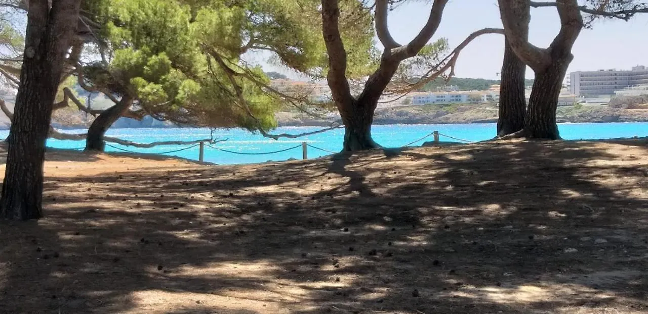 Punta Ses Planes Βίλα Son Servera