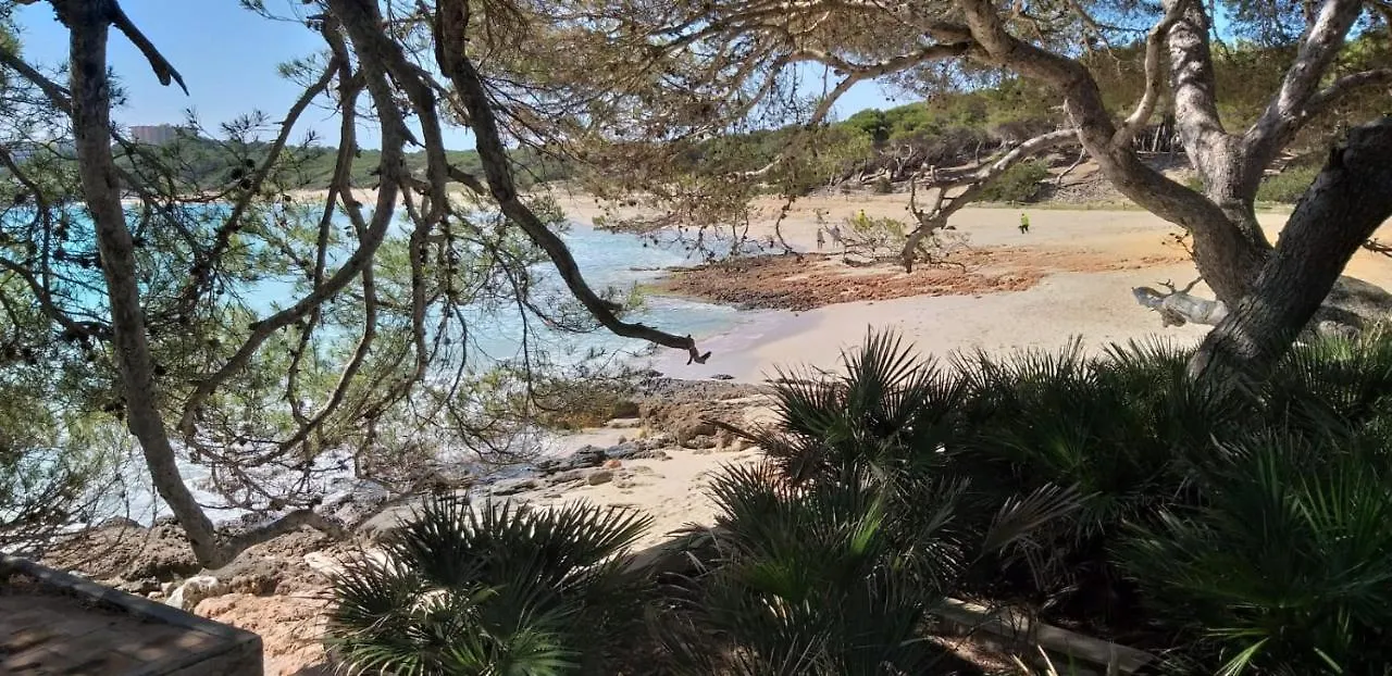 Punta Ses Planes Βίλα Son Servera  Ισπανία