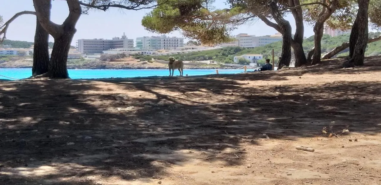Punta Ses Planes Βίλα Son Servera  Ισπανία